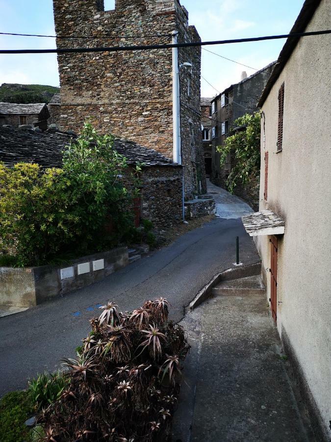 Maison De Village A 2 Km De La Mer Sisco Cap Corse 15 Kms Bastia 外观 照片