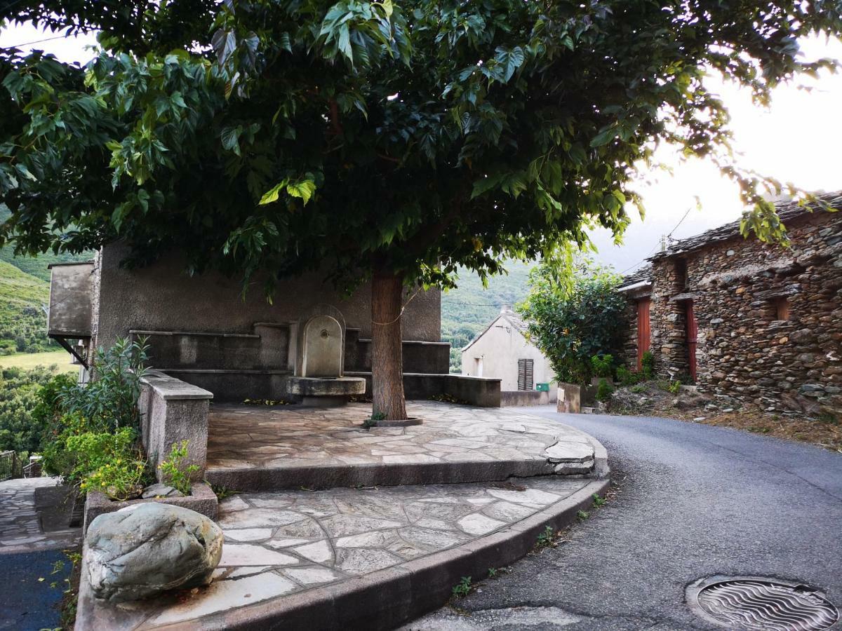 Maison De Village A 2 Km De La Mer Sisco Cap Corse 15 Kms Bastia 外观 照片